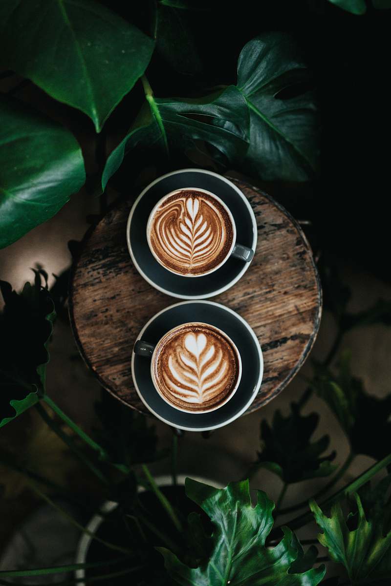 vase high angle photo of two green mugs filled with coffee potted plant