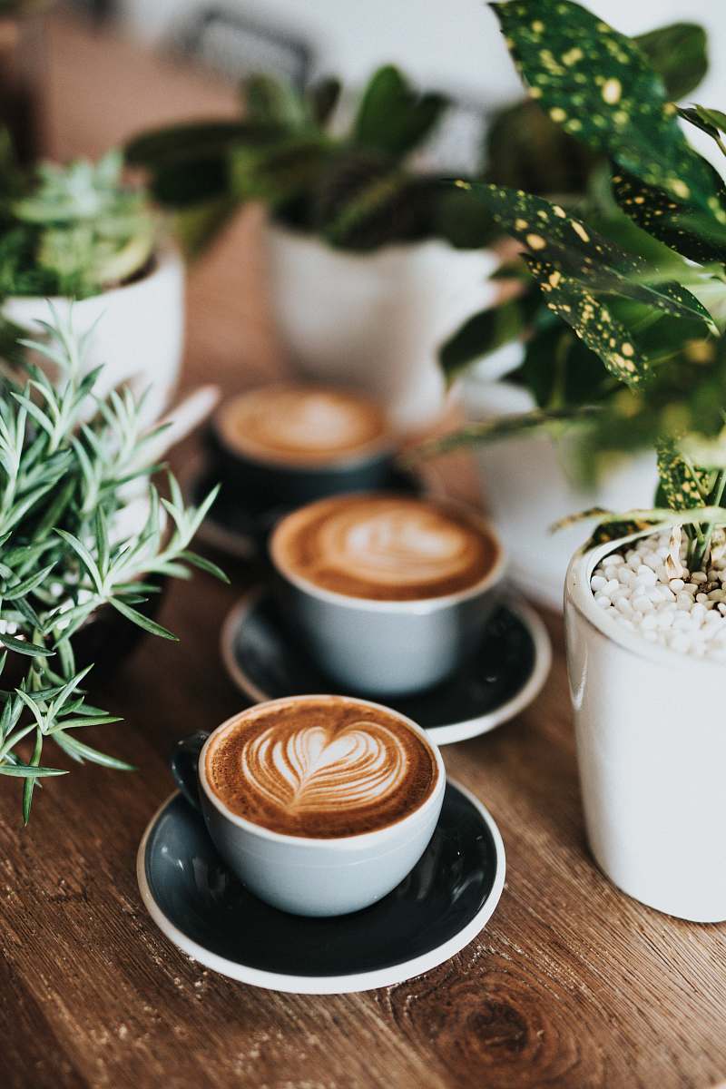 food shallow focus photography of coffee late in mug on table plant