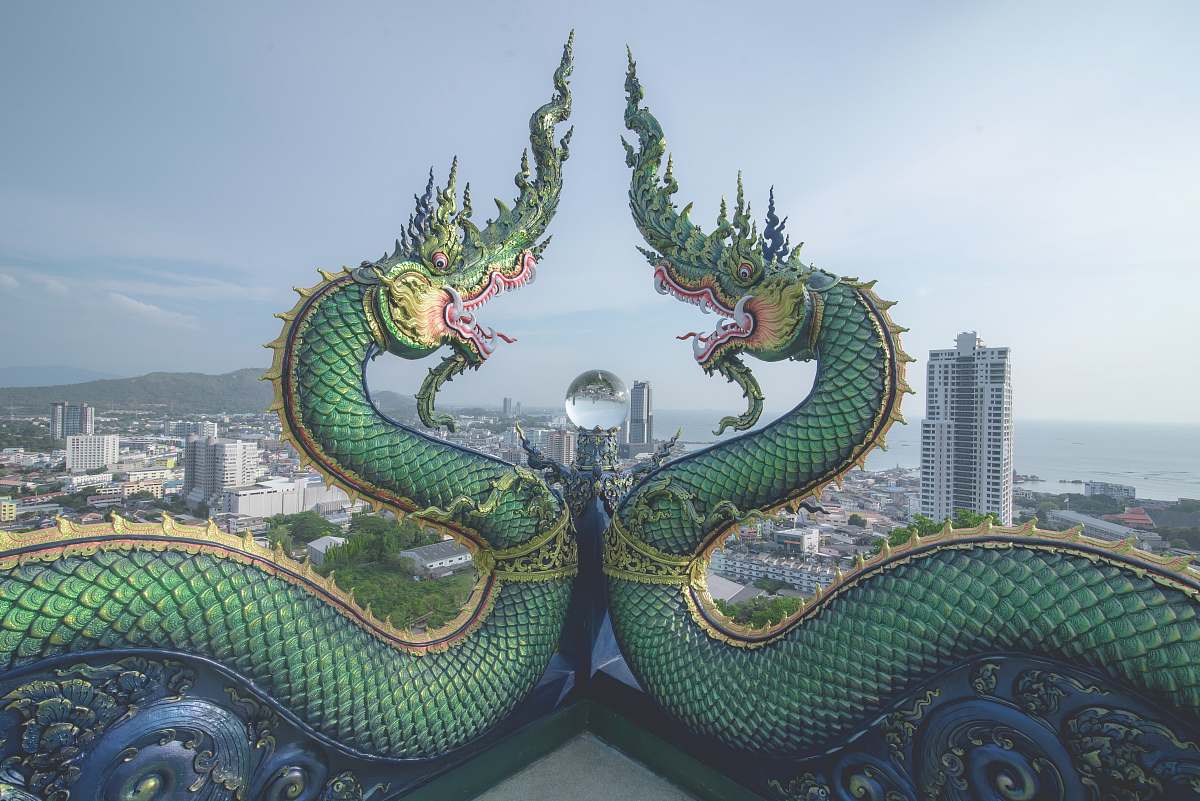 animal green dragons buildings reptile
