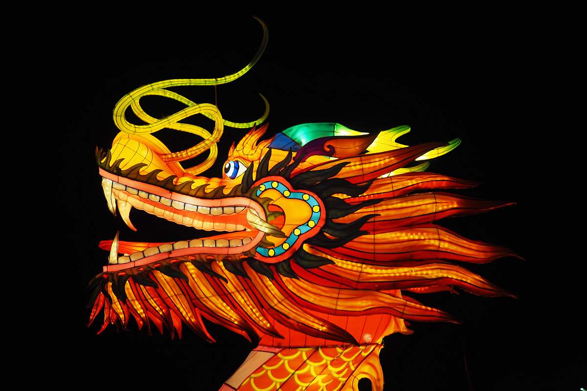 lights red and multicolored dragon illustration night