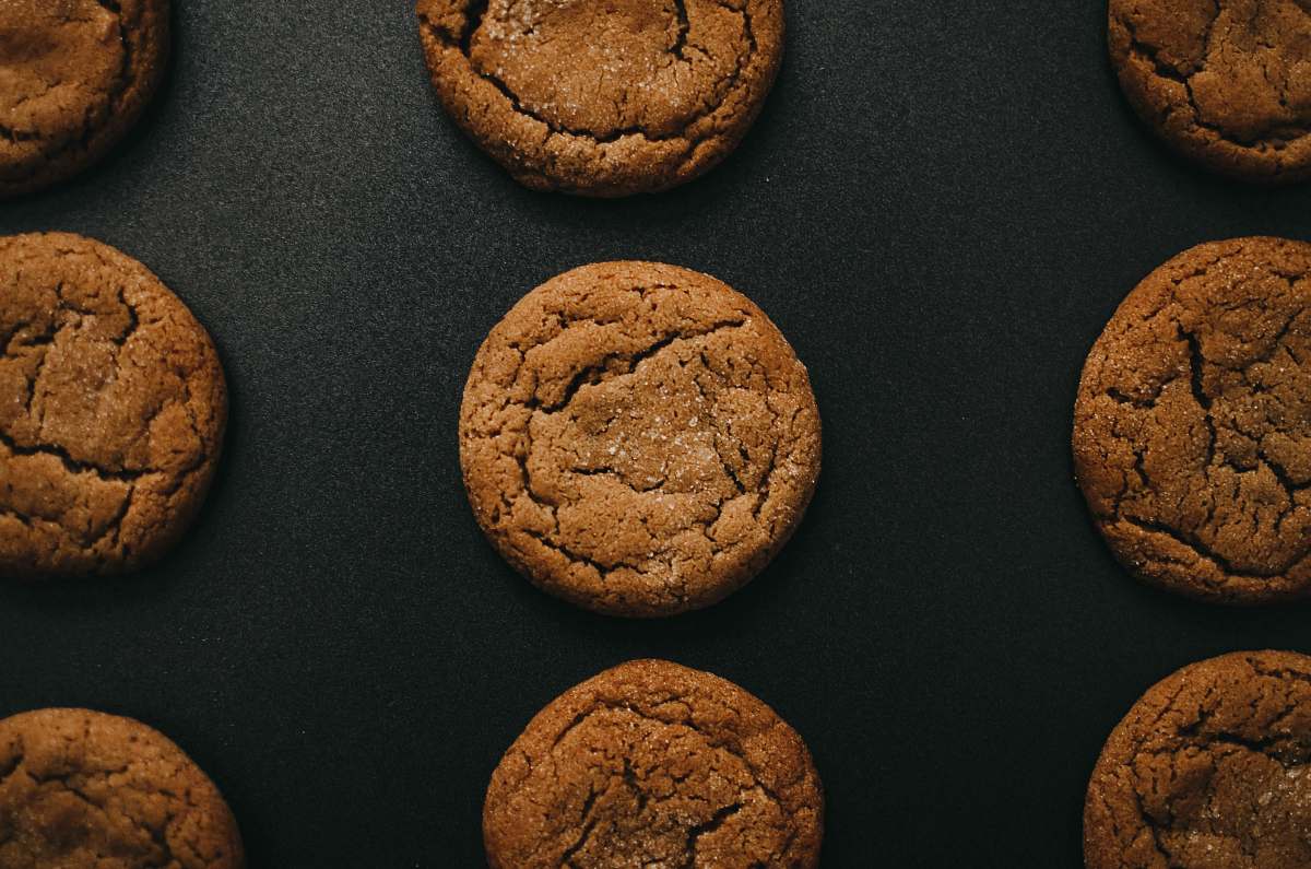 biscuit cooked cookies cookie