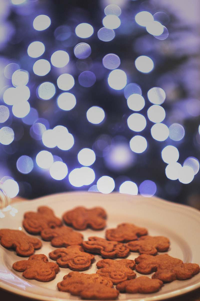 biscuit cookies in round white ceramic plate cookie