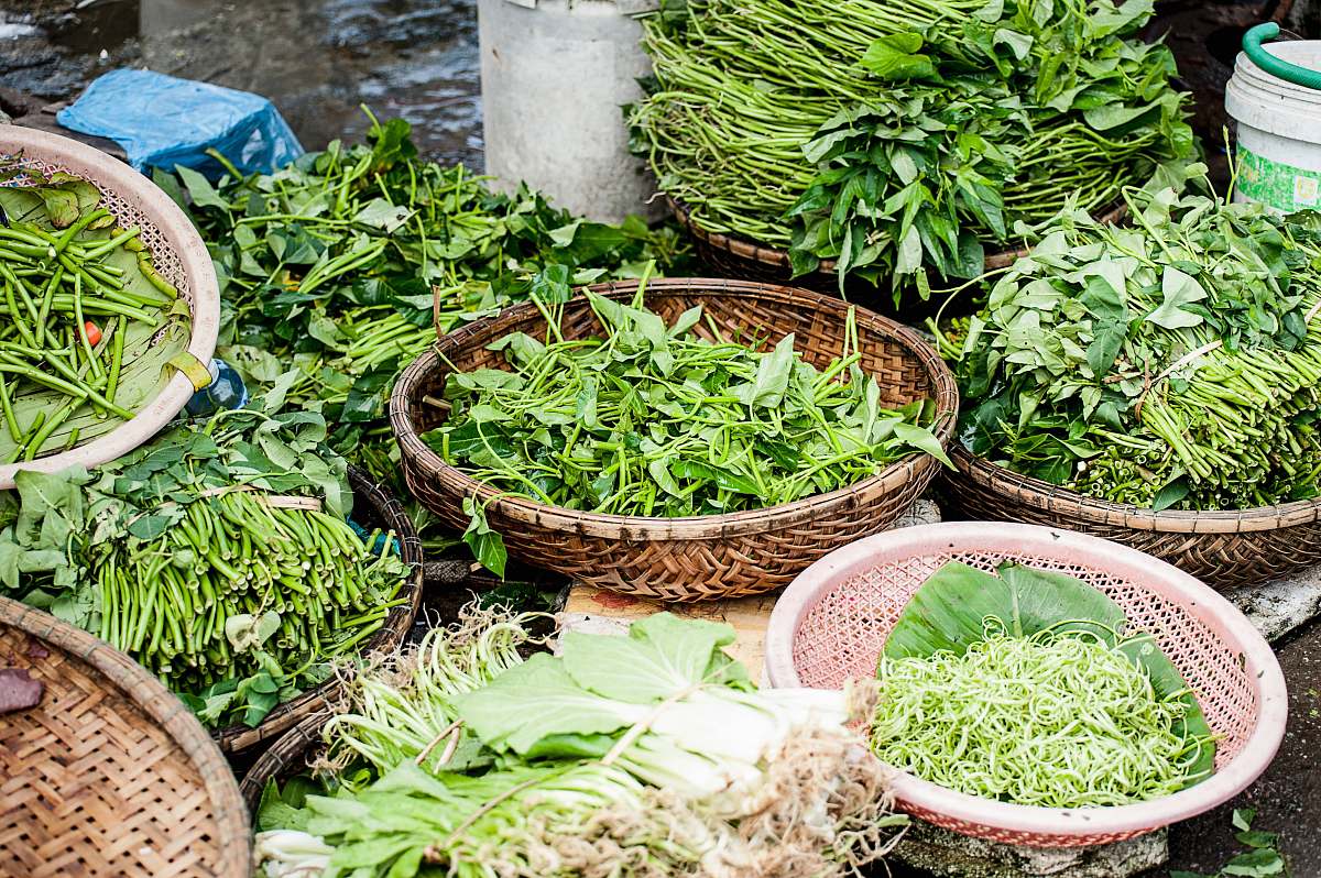 herbs green vegetables on brown wicker basket herb