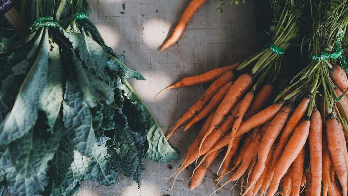 carrot orange carrots vegetable