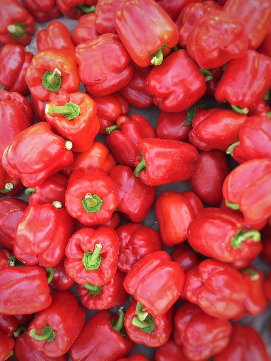 pepper red bell pepper lot vegetable