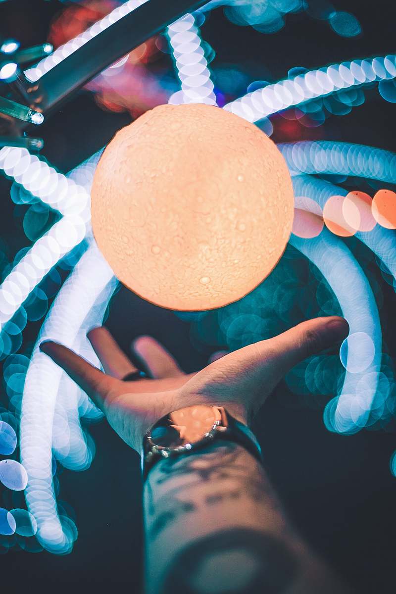 egg shallow focus photo of person's hand human