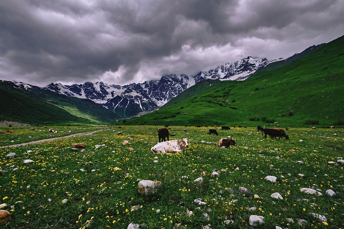 green and white mountains under gray sky at daytime