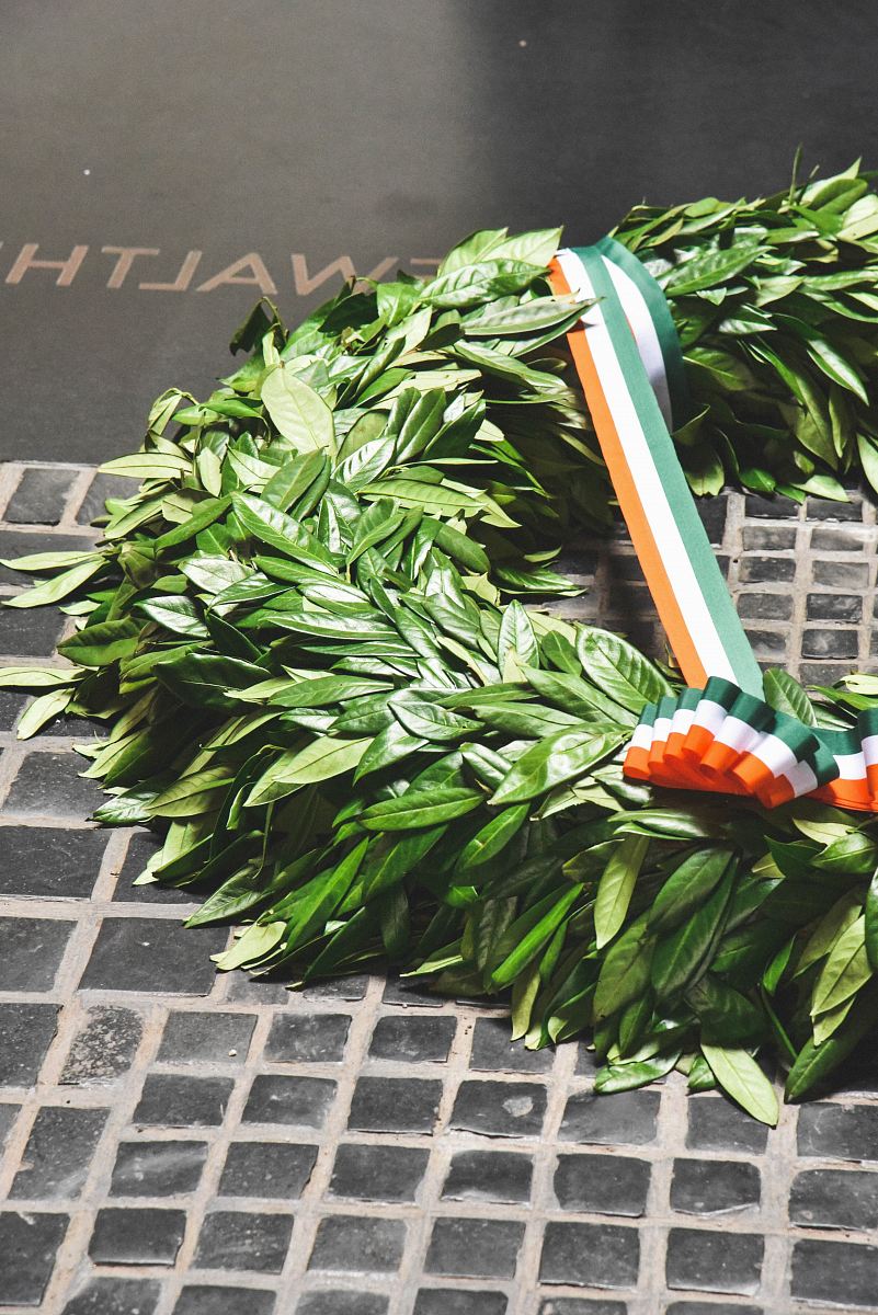 green-leafed plant with bow tie