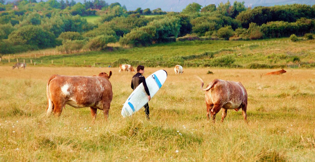 man standing on grass field holding surfboard during daytime