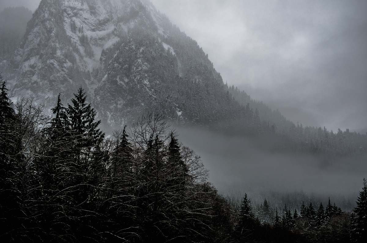 mountain mountain covered snow and surrounding trees forest