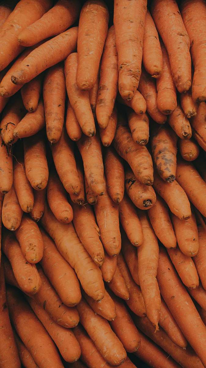 vegetable pile of carrots food