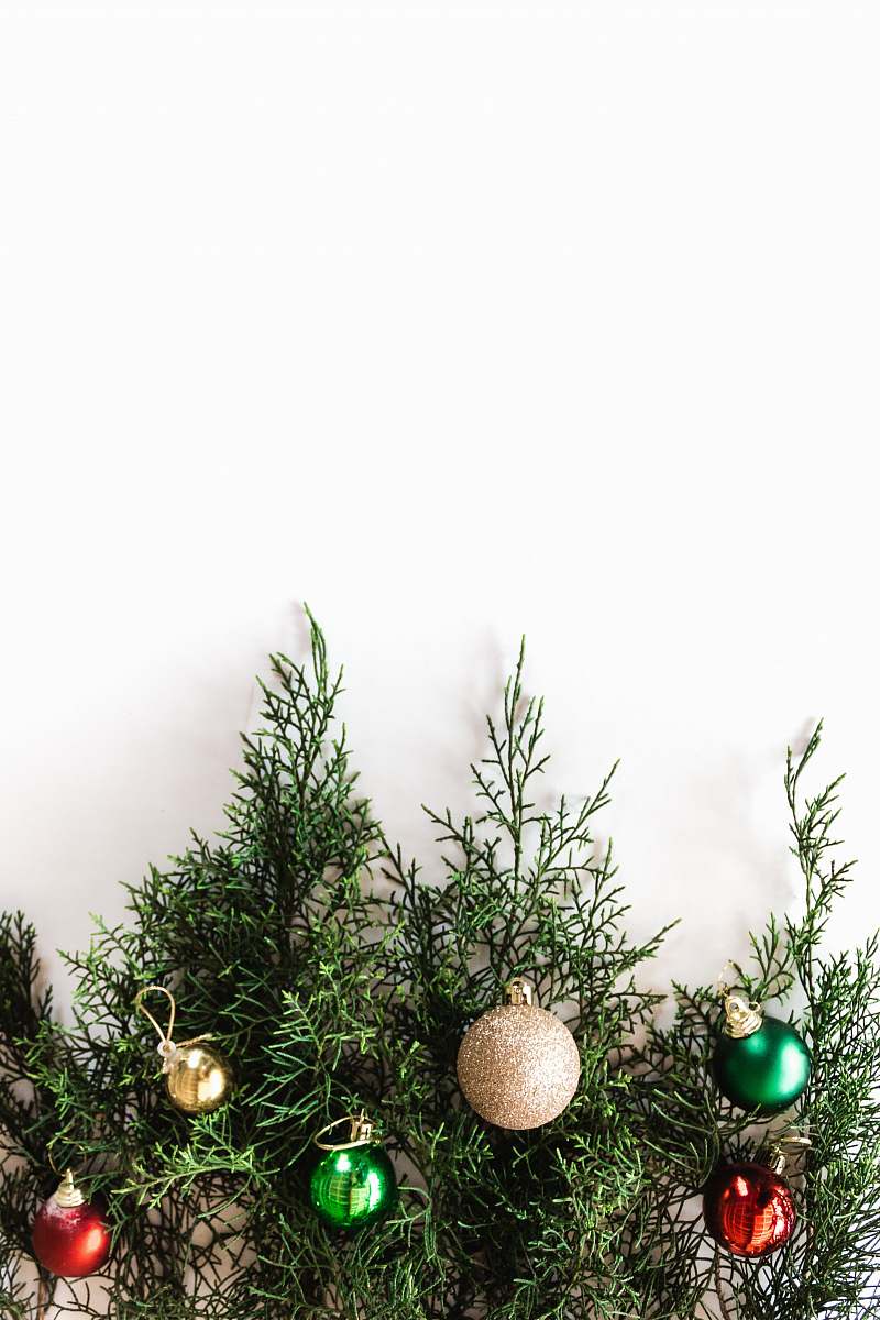 tree silver bauble conifer