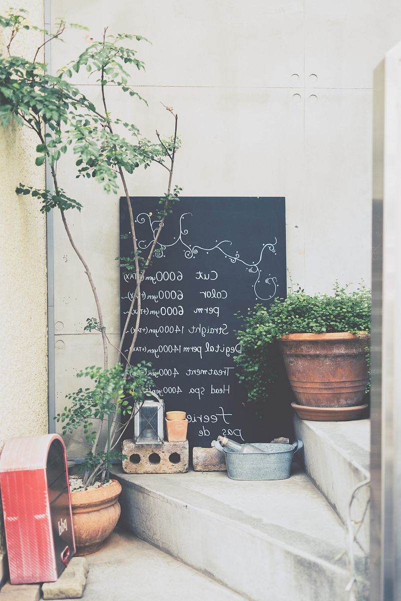 potted green leafed plants on white concrete stairs