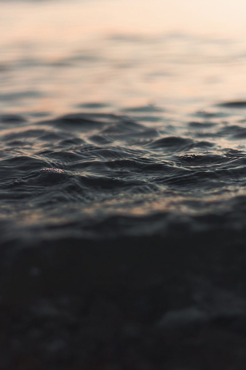 selective focus photography of water