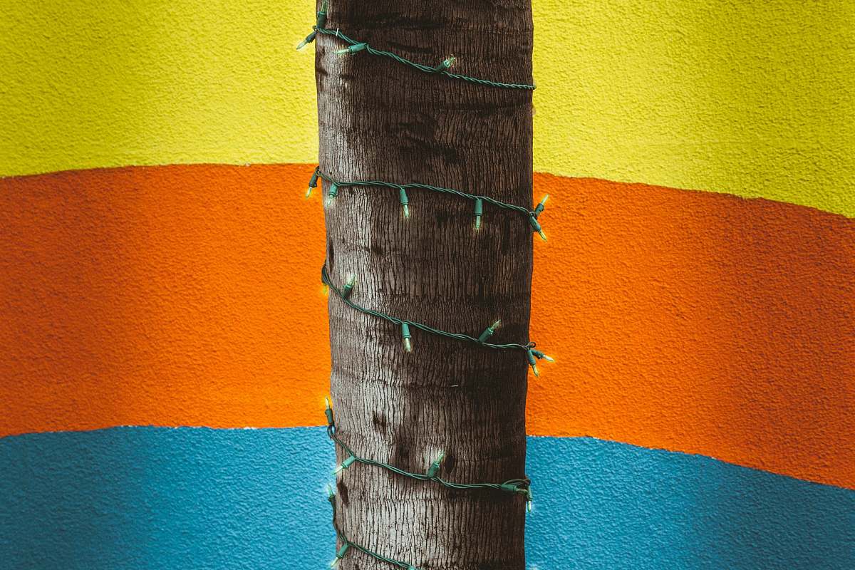 lights green string light wrap on brown tree orange