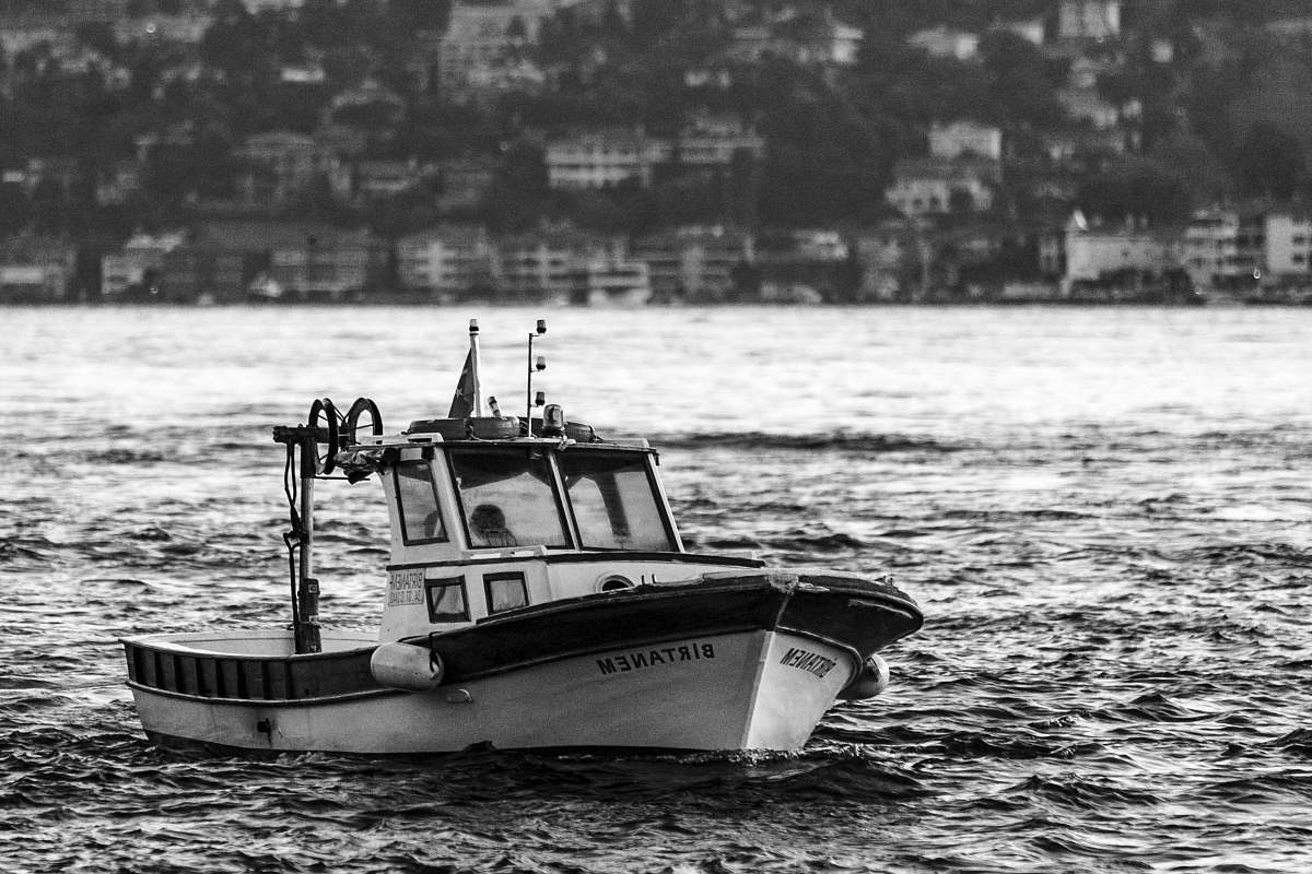 transportation grayscale photo of sailboat vehicle