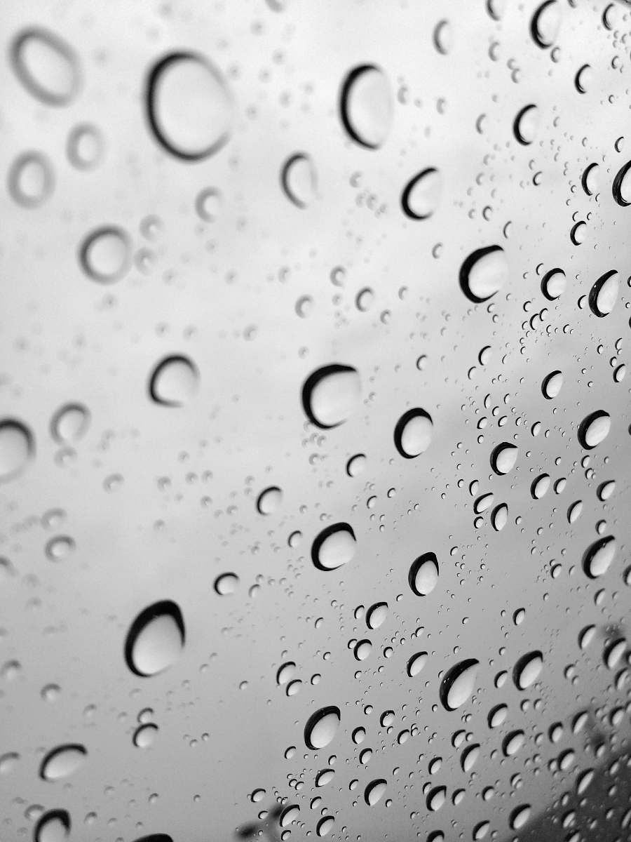 grey water drops water