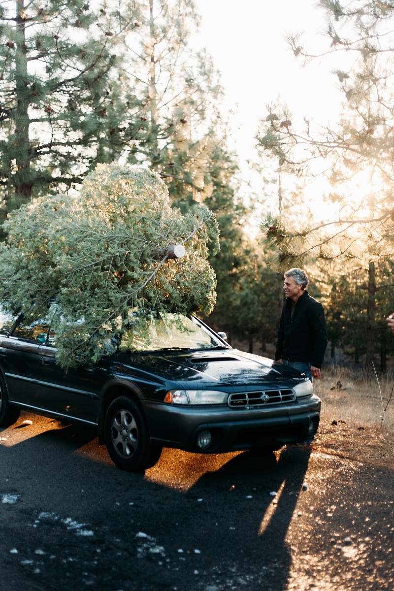 vehicle person wearing black jacket standing in front of blue vehicle during daytime christmas