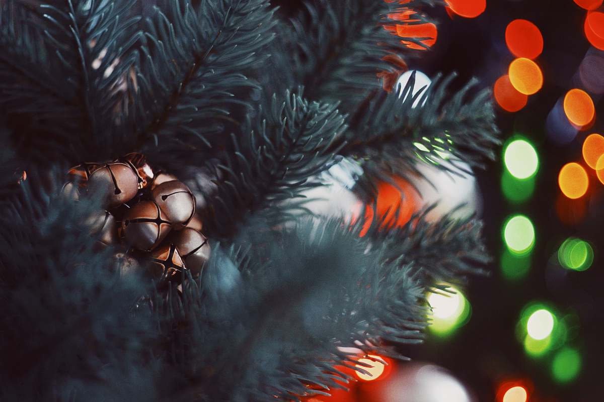 tree bokeh photography of christmas tree christmas tree