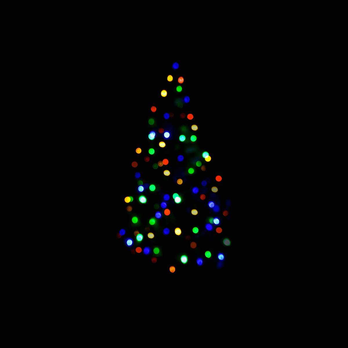 prievidza Christmas tree string lights slovakia