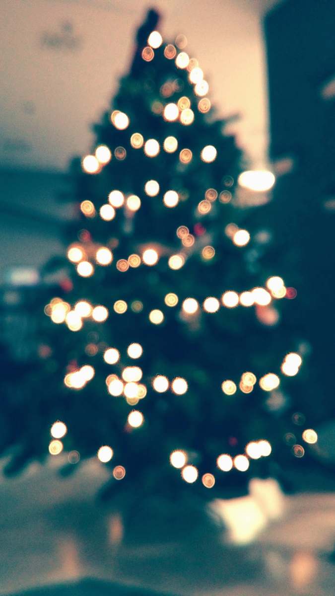 zagreb christmas tree with string lights turned on croatia