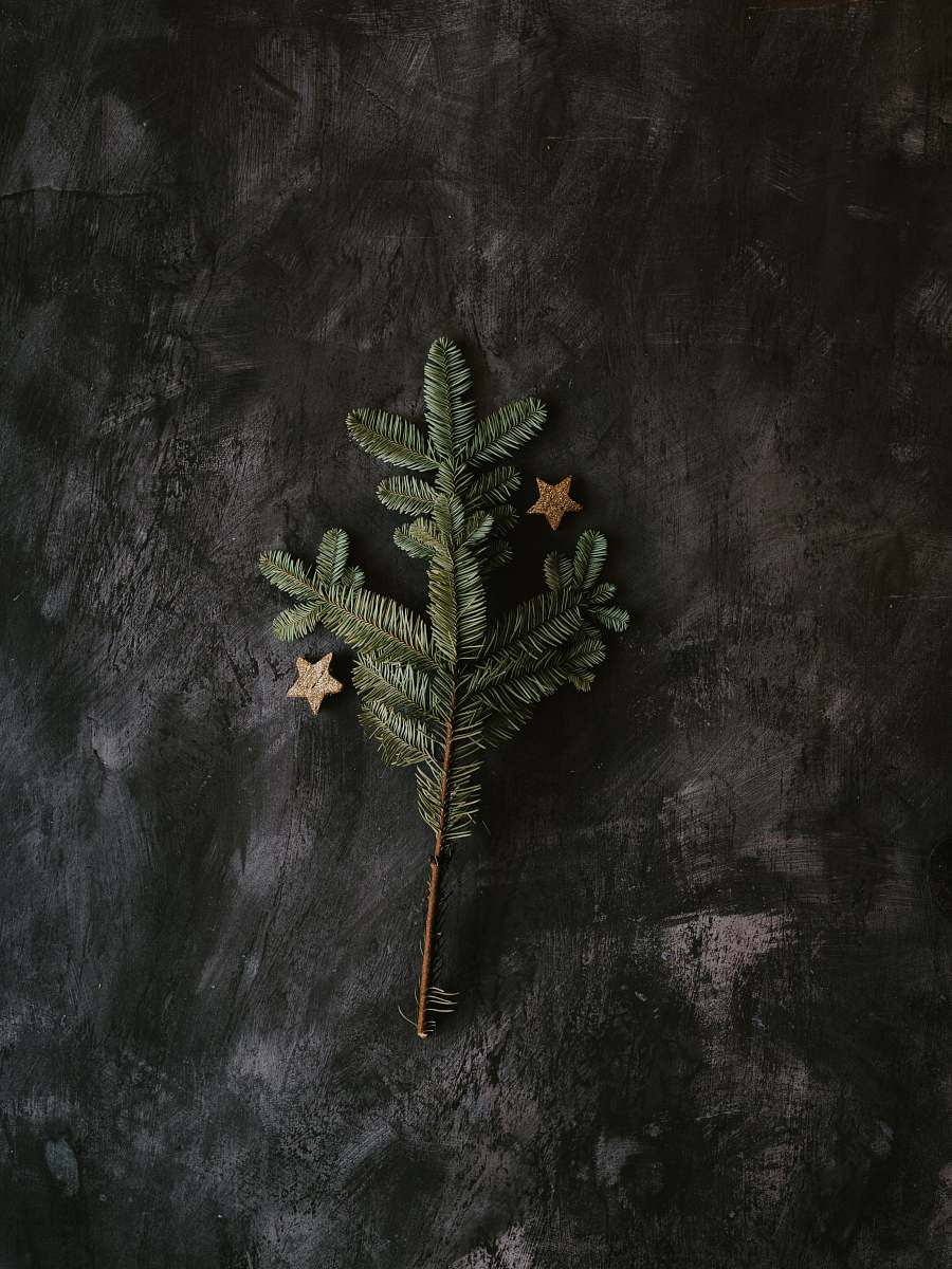 painting green pine tree on gray surface art