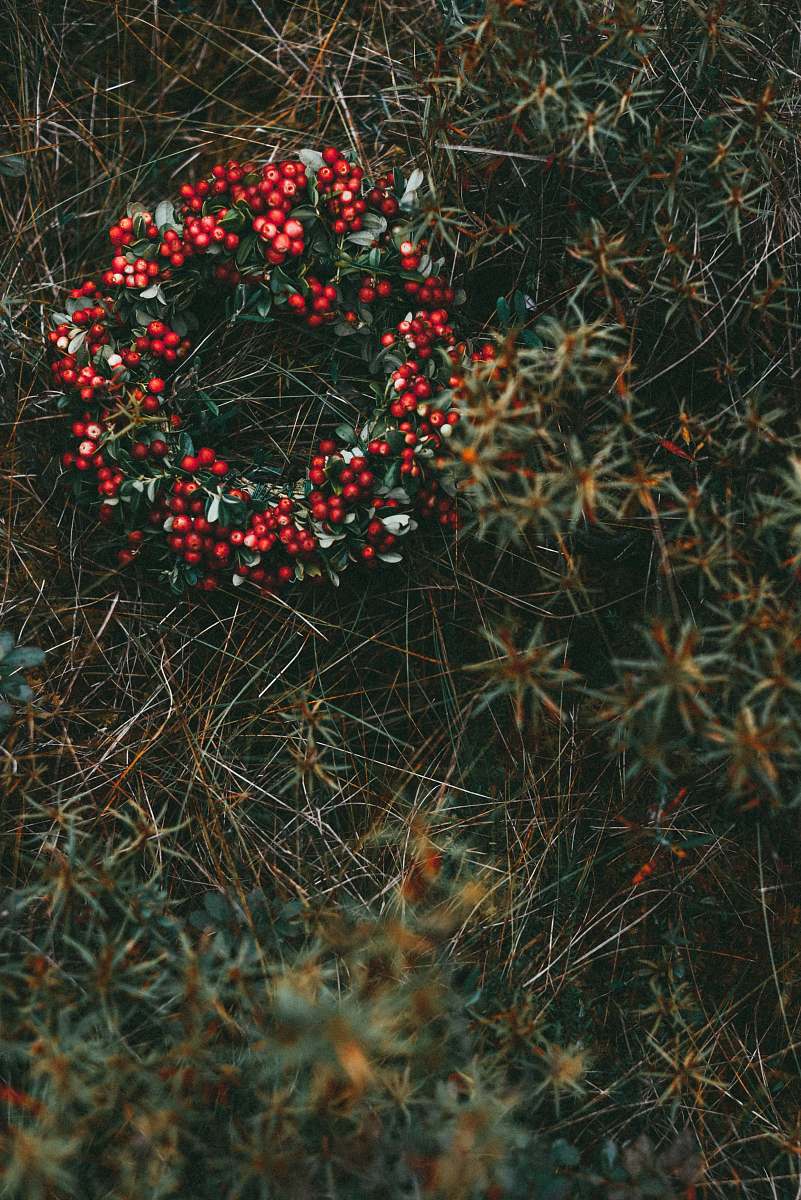 grass red and green decor wreath latvia