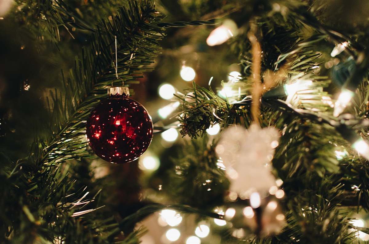 tree red bauble on green christmas tree ornament