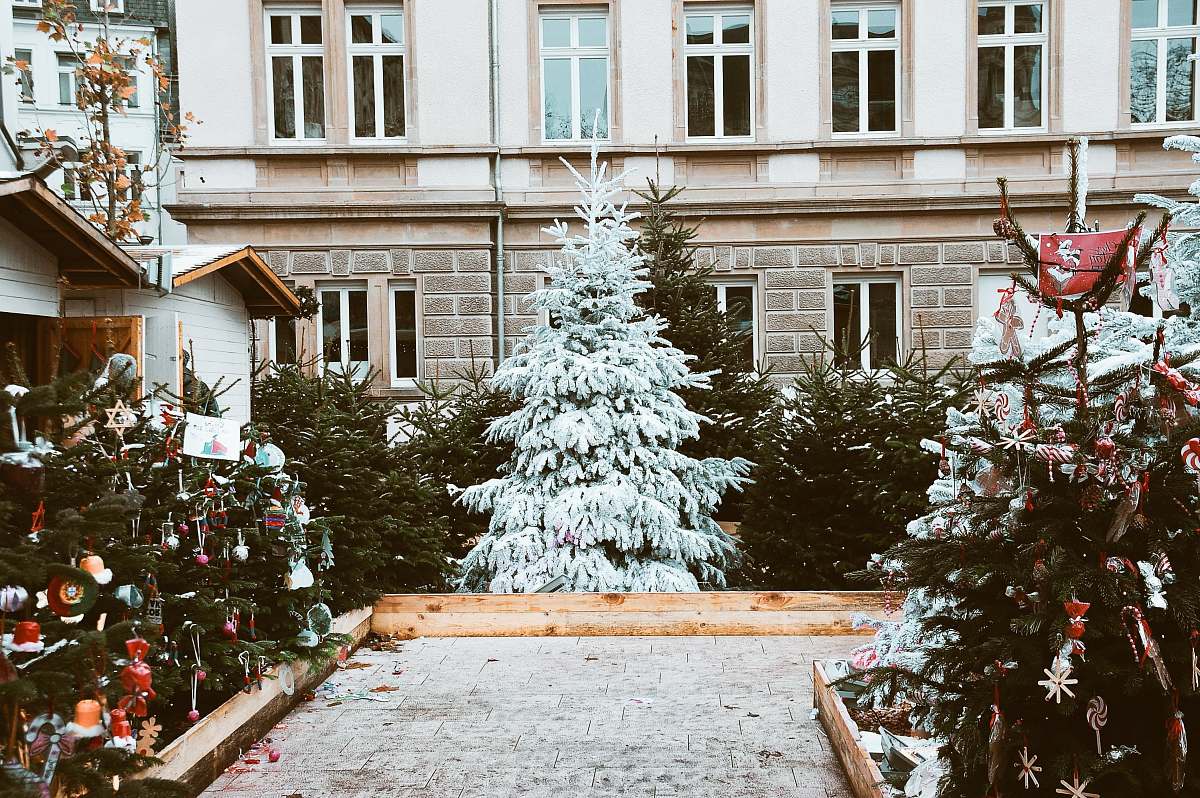 pottery snow covered pine tree near house vase