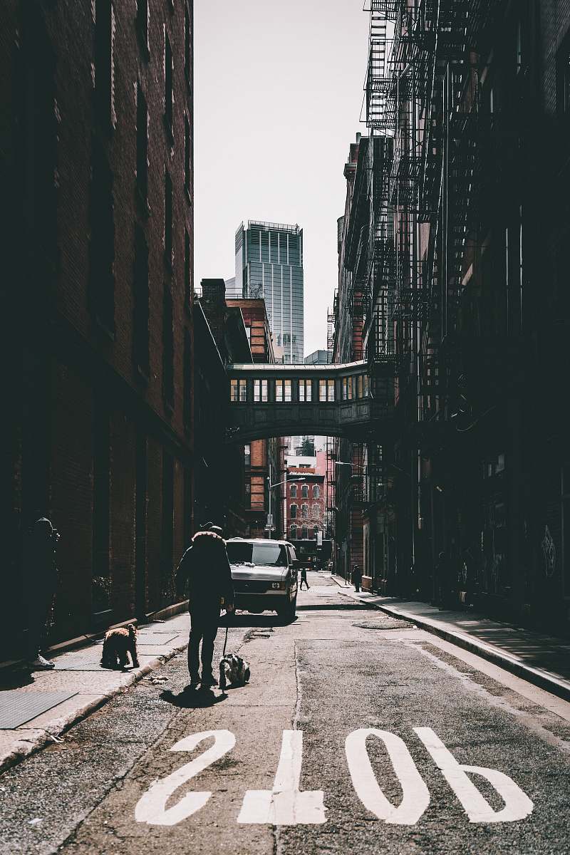 urban man walking on road with dog during daytime street