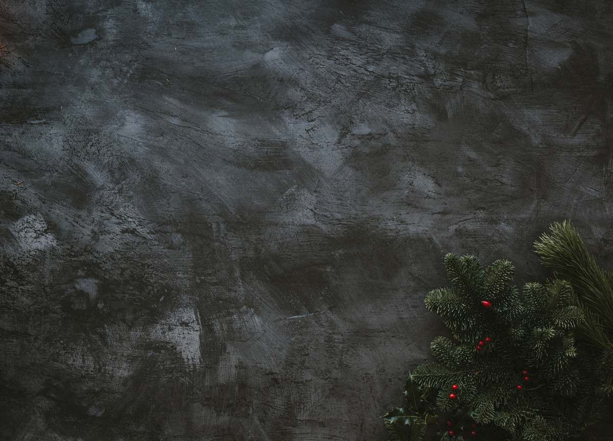 plant  tree