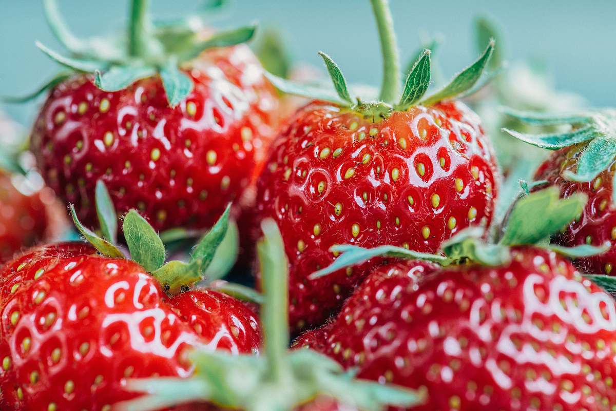 food closeup photo of strawberry fruits strawberry