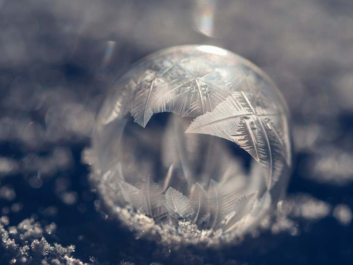 globe  winter