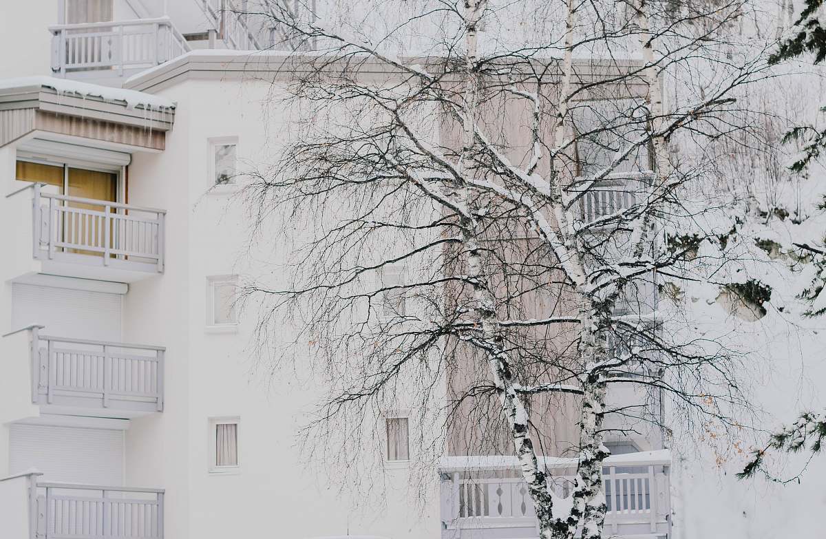 balcony bare tree near white concrete building at daytime building