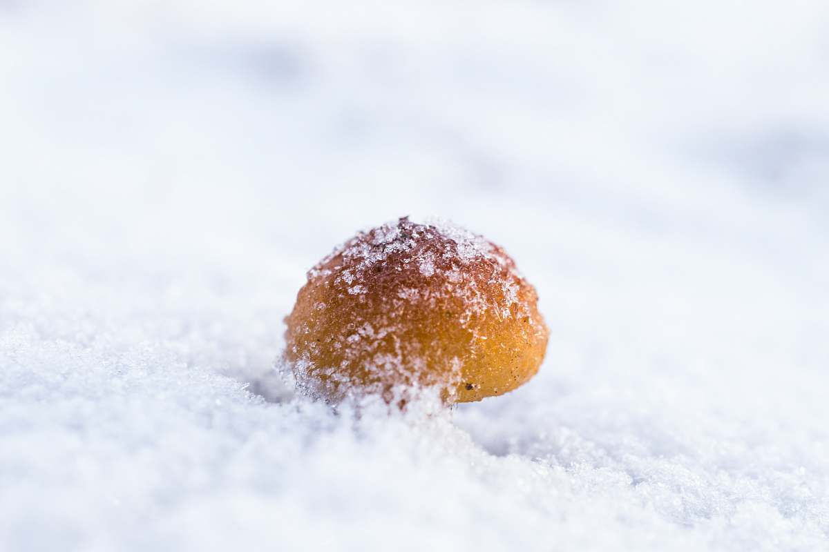 snow  confectionery