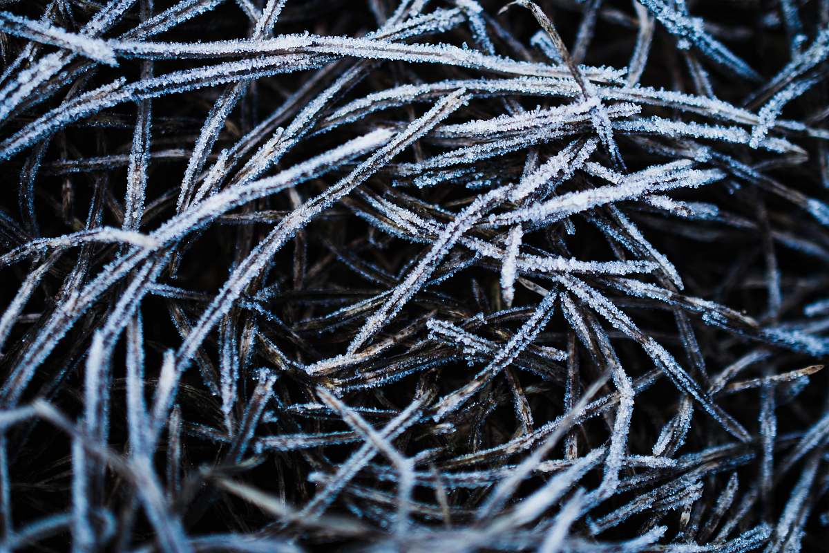 wire  november