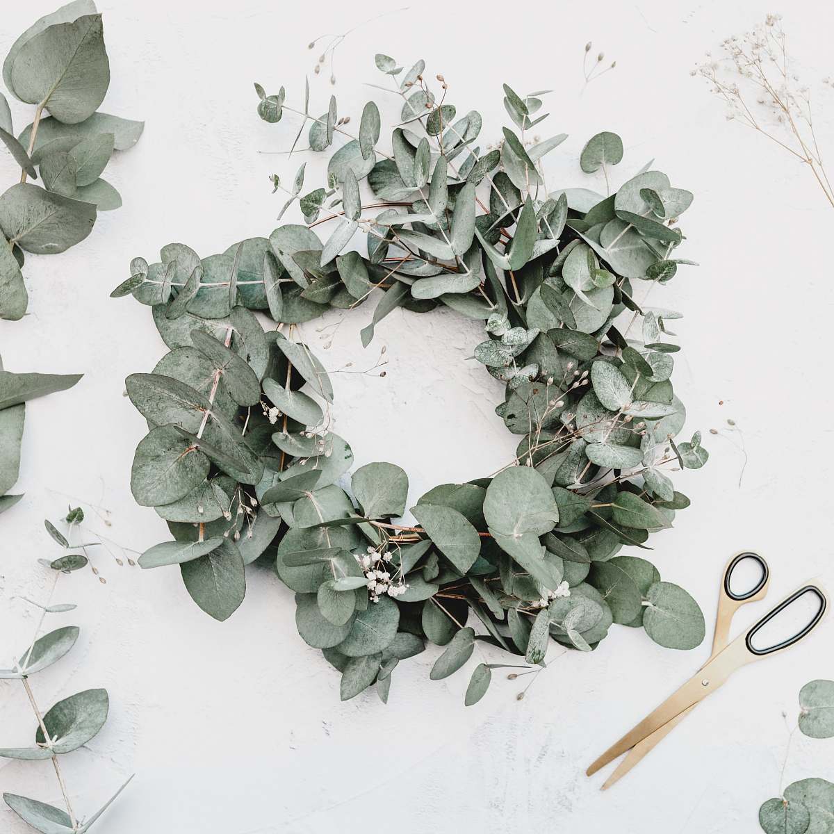 plant green leaves wreath