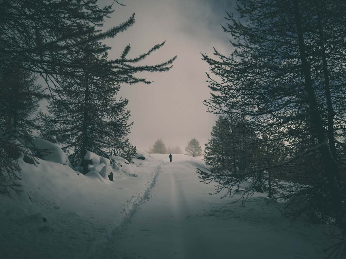 outdoors man walking on walkway between trees grey