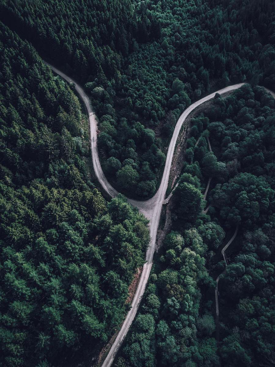 forest top view photography of forest brecon beacons