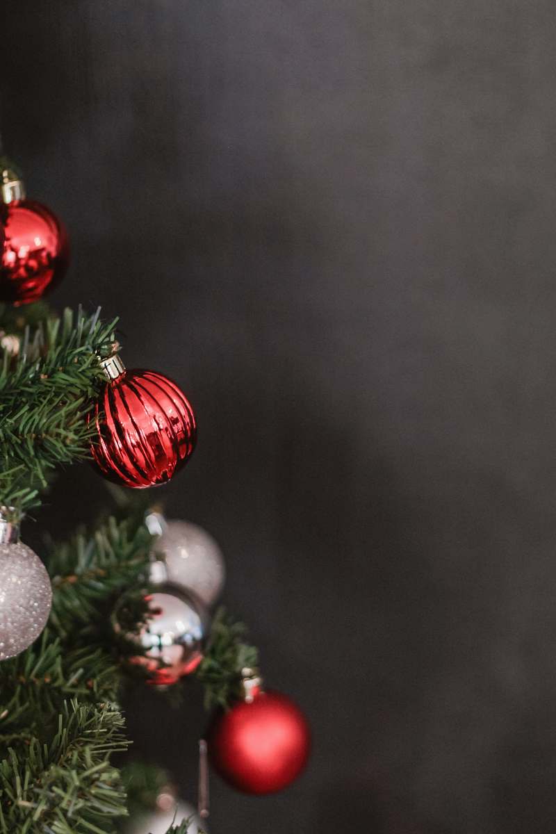 tree  plant