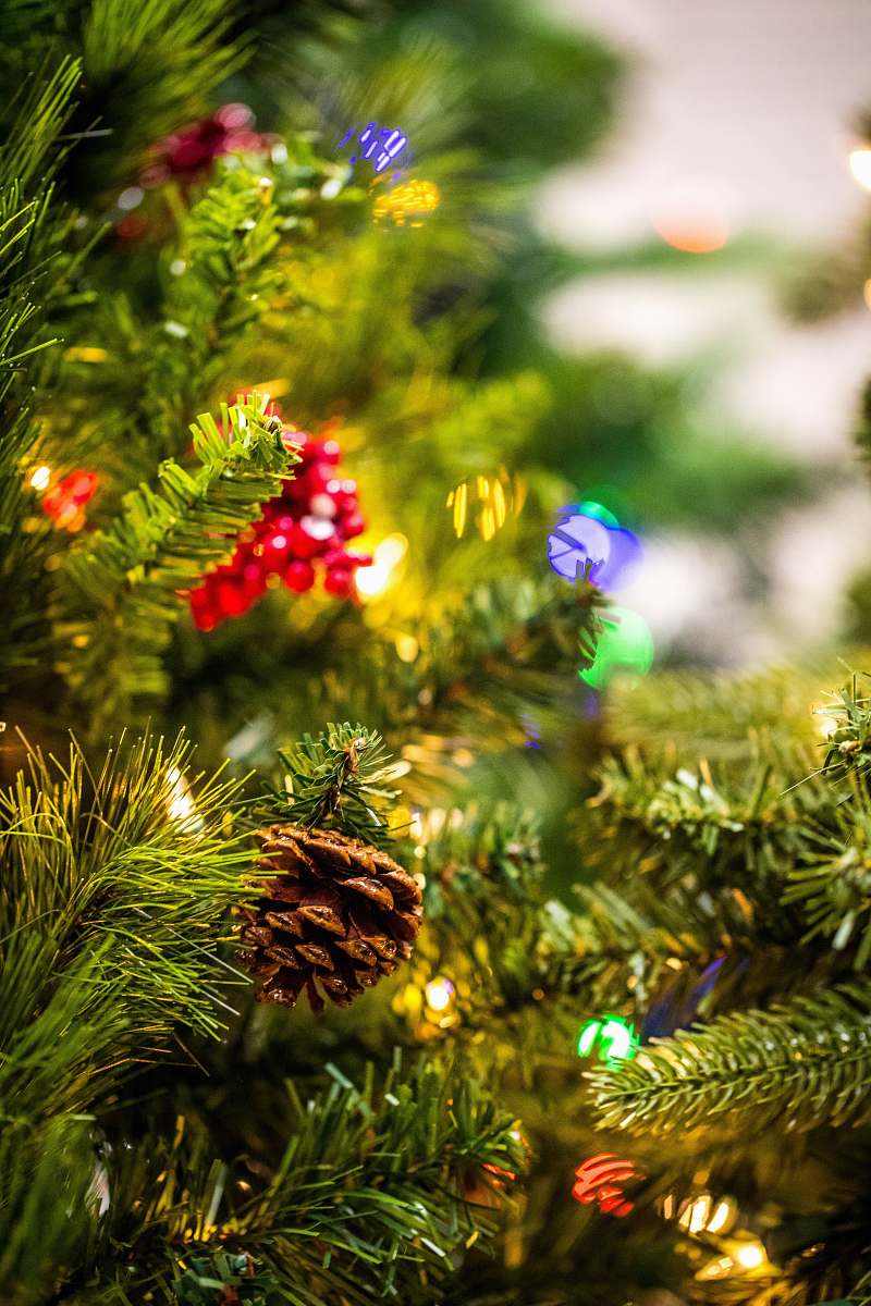 plant selective focus photography of pinecone and flower ornaments attached on tree christmas tree
