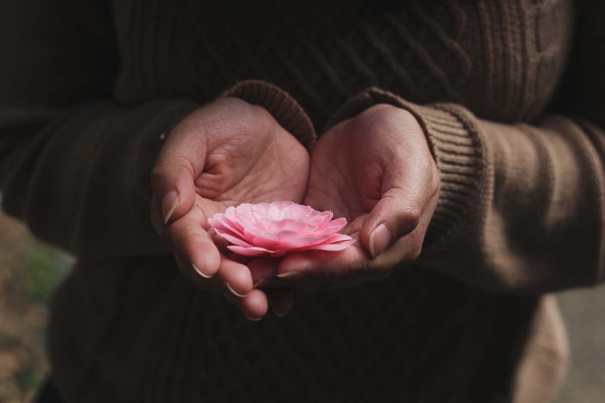 flower person holding pink-petaled flower hands