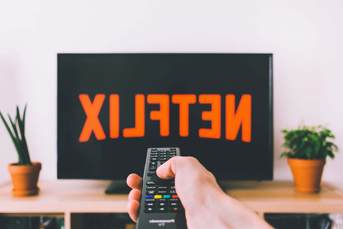 plant person holding remote pointing at TV pottery