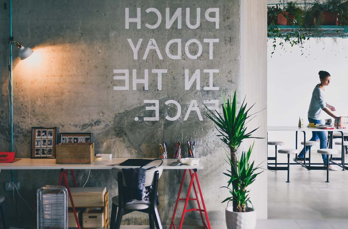 office green plant beside white desk plant