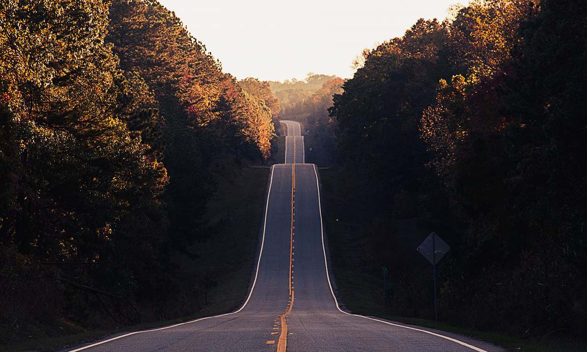 nature asphalt road between trees hills