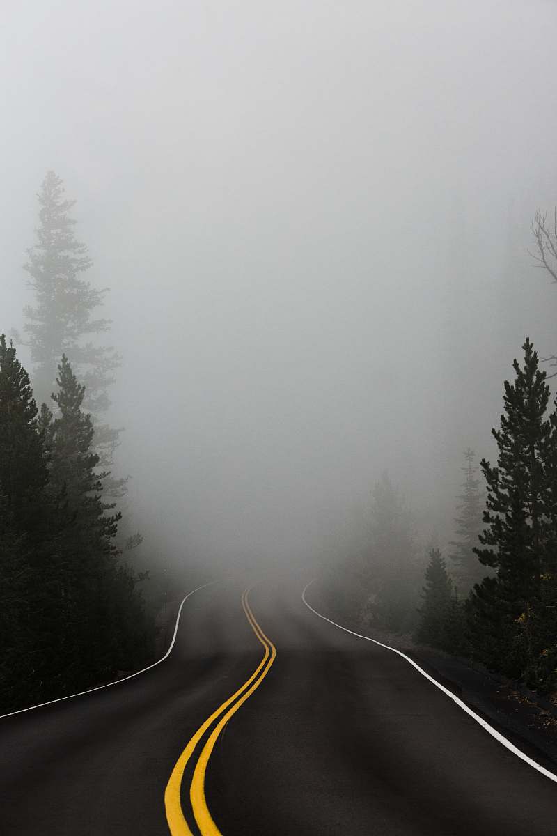 grey empty road surrounded with trees with fog fog