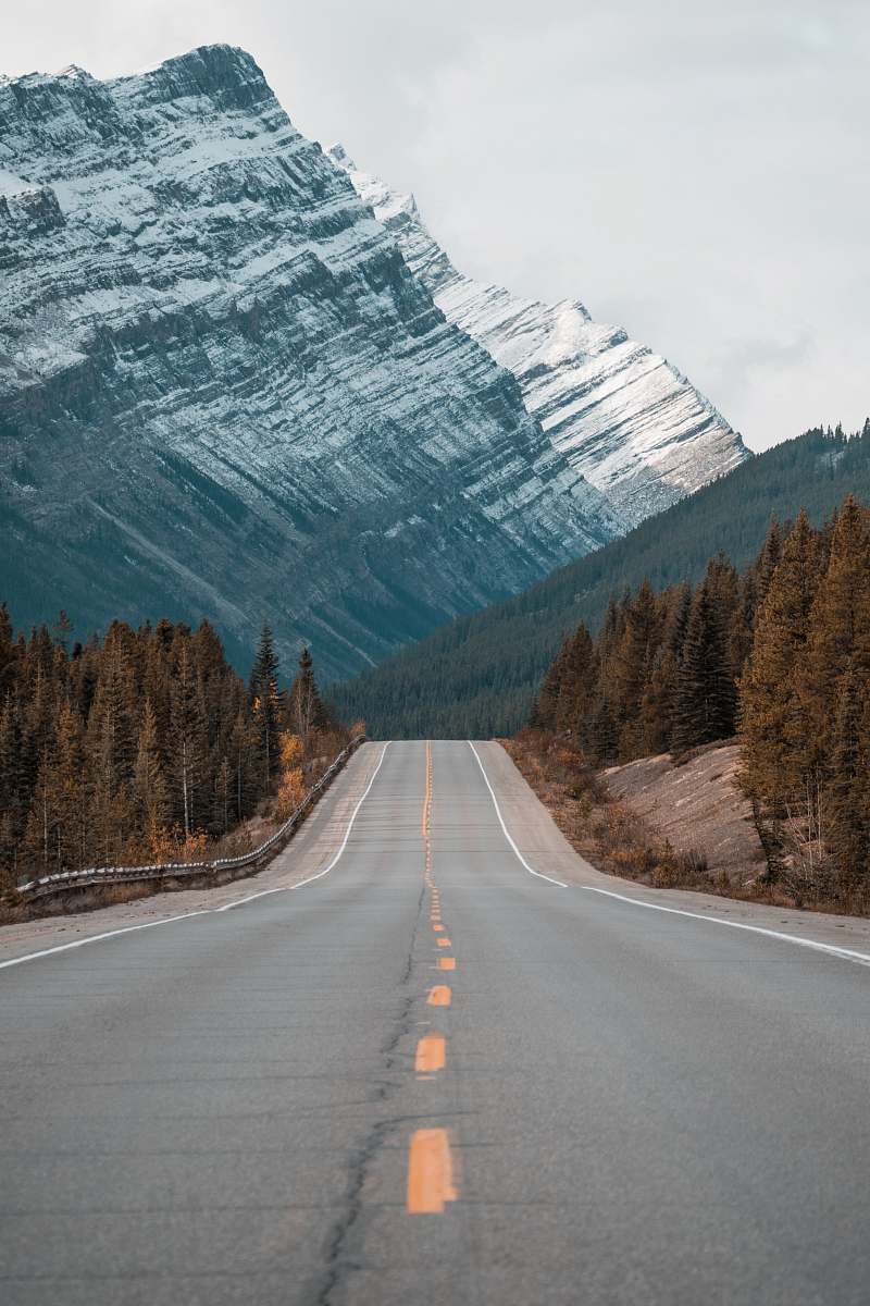 highway gray concrete road between trees near mountain mountain