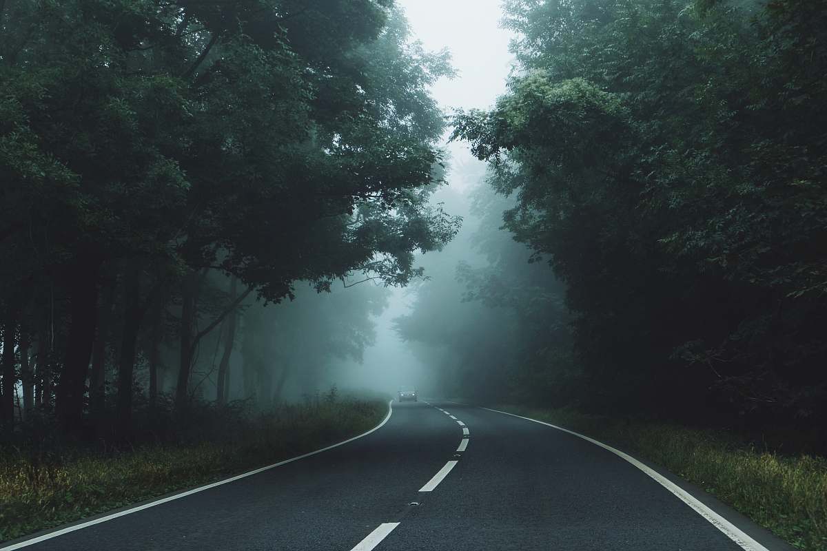 england gray roadway between green leaf trees united kingdom