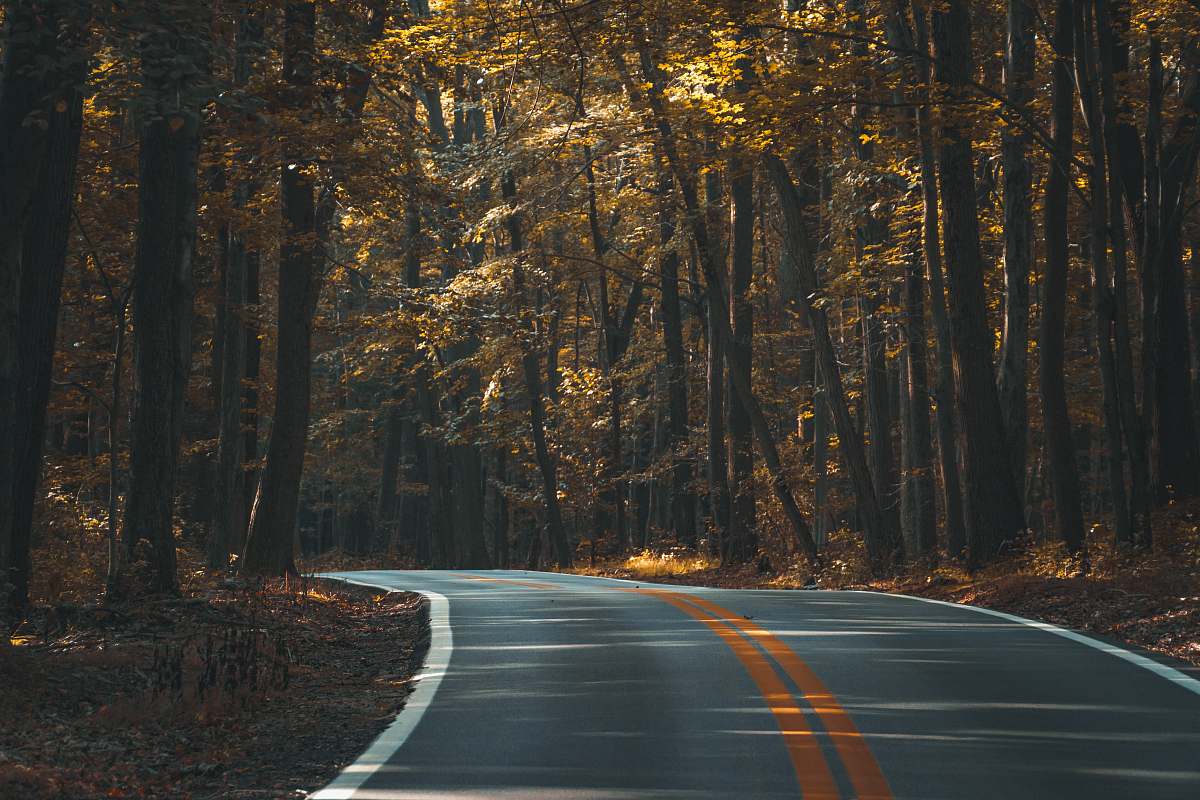 nature grey mountain pass road forest