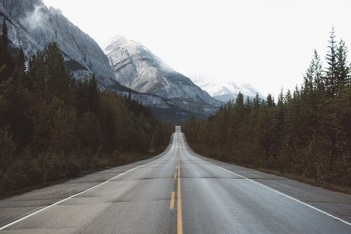 highway road between green trees canada